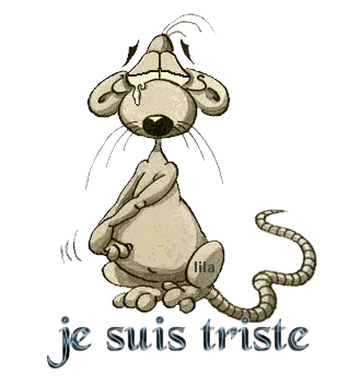 petite souris triste