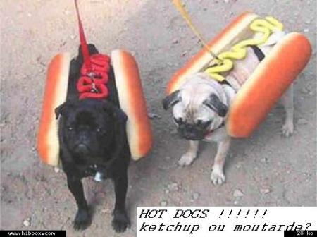 hot dogs!!!!!! ketchup ou moutarde?