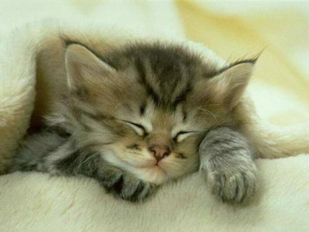 il est tres beau quand il dort